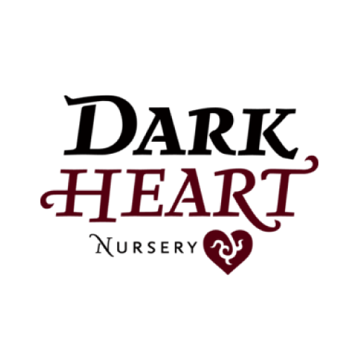 dark-heart.png
