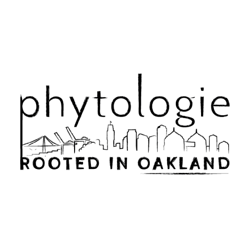 phyto.png